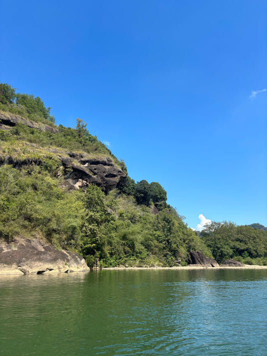 The Power of Ultimate Softness: The Highest Good is Like Water