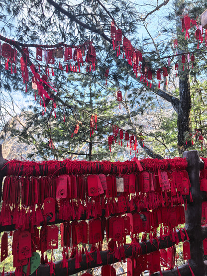 LonghuTao Sacred Lao Tzu Mountain Summit Blessing — Anchor Your Wishes at the Peak