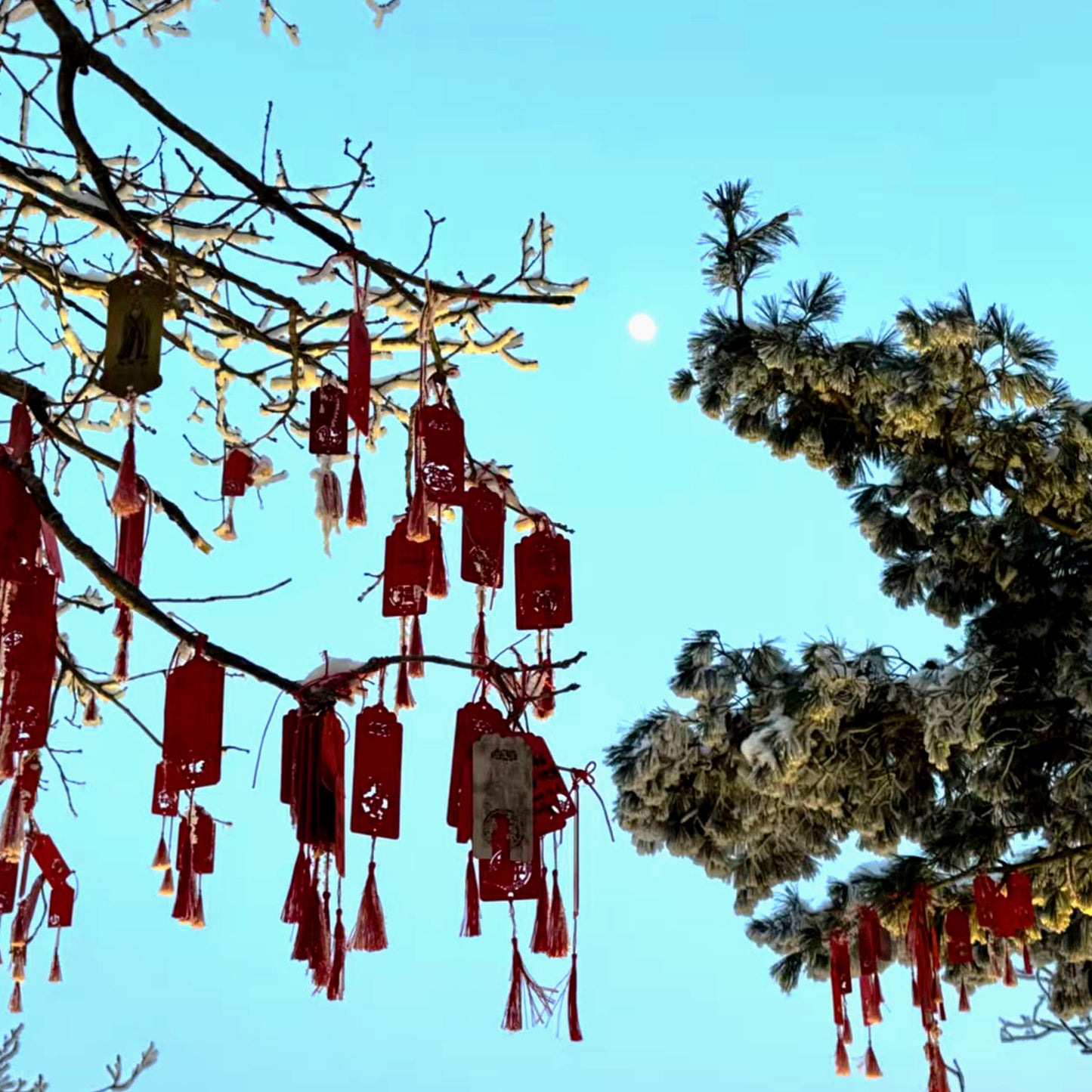 LonghuTao Sacred Lao Tzu Mountain Summit Blessing — Anchor Your Wishes at the Peak