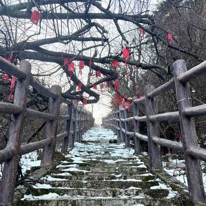 LonghuTao Sacred Lao Tzu Mountain Summit Blessing — Anchor Your Wishes at the Peak